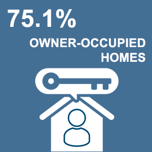 owner occupied homes